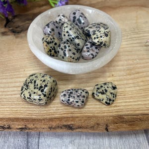 Dalmation Jasper tumbled stone 20mm