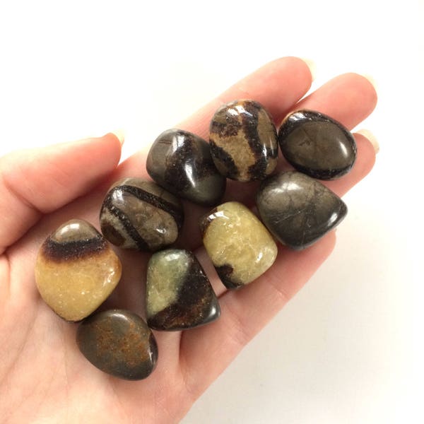 Septarian tumbled stone 20mm