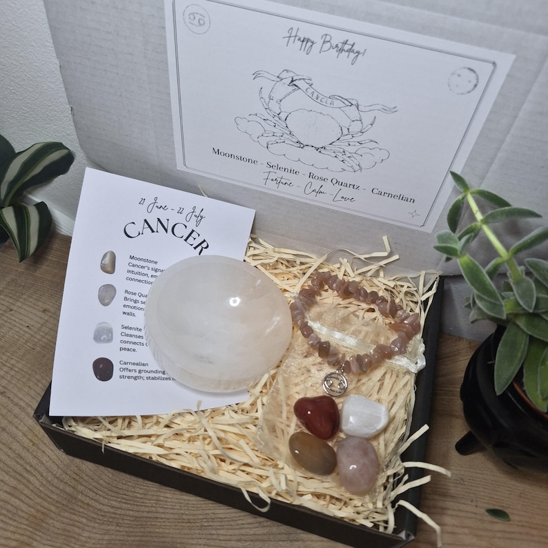 Zodiac Birthstone Gemstone Kit, Crystal Gift Set, Birthstone Bracelet with Tumbled Stones & Selenite Bowl, Astrology Self Care Kit. image 7