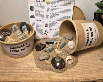Dinosaur & Fossil Dig Kit: 9 or 14 Genuine Fossils in Play Sand