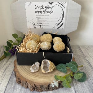 May include: A geode cracking kit, presented in a black box with whole and cracked geodes, revealing crystal interiors. The box includes a card with instructions and the text "Crack your own geode". The kit is displayed on a wooden slice.