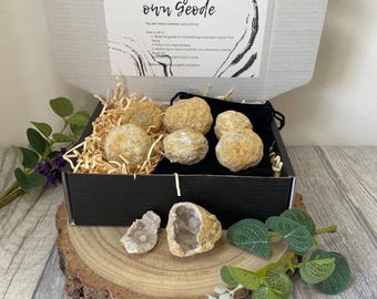 Crack Your Own Geodes Natural Quartz
