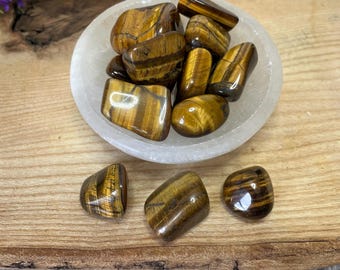 Tigers Eye Tumbled Stone 20-30mm Leo