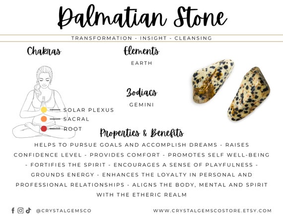 Dalmation Jasper Tumbled Stone 20mm Israel