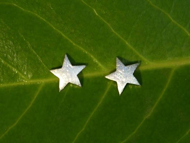 Star, Earrings, Plugs, Silver image 4