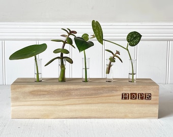 Personalised Wooden Test Tube Propagation Station