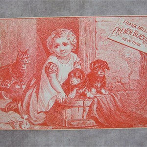 May include: A red and white vintage advertisement for Frank Millers French Blacking, New York. The ad features a young girl with curly hair sitting on a floor with two puppies and a cat. The girl is wearing a white dress with a red collar and a red bow. The puppies are sitting in a wooden bucket. The cat is sitting on the floor next to the girl.