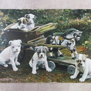 1906 Raphael Tuck&#39;s Bulldog Real Photo Photochrome Postcard - Hand Colored &quot;In Possession&quot; From Pretty Puppies Series Dog Animal Collection