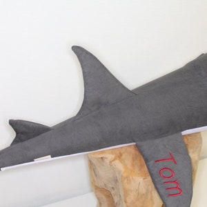 Silas der Hai, Cord dunkelgrau das Original immagine 3