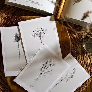 carte "fleurs sauvages" -illustration-crayon graphite-
