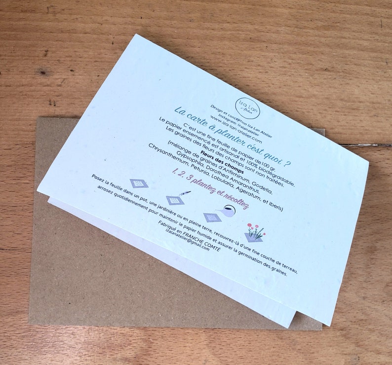 Carte à planter double,Bonne retraite, carte avec semences, carte fleurs, cadeau départ en retraite afbeelding 4