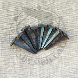 Op de afbeelding: Een set van acht blauwe en zwarte metalen tacks met platte koppen. De tacks zijn in een waaier vorm gerangschikt.