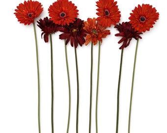 Juego de 8 tallos artificiales de gerbera / Naranja, rojo y burdeos / Hobby Lobby Botanic Artistry