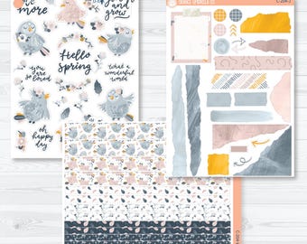 CLEARANCE | Birds & Flowers Deco Planner Stickers | C-204