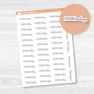 Currently Reading Hobonichi Script Planner Stickers | FC12 | S-301-B