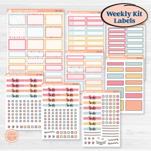 Birthday Planner Kit | Weekly Add-On Labels Planner Kit Stickers | Give Them Cake | KIT-367-C