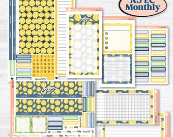 Summer Lemon Kit | A5 Erin Condren Monthly & Dashboard Sticker Kit | 2024-2025 Planners | Lemon Me Know | KIT-393-V