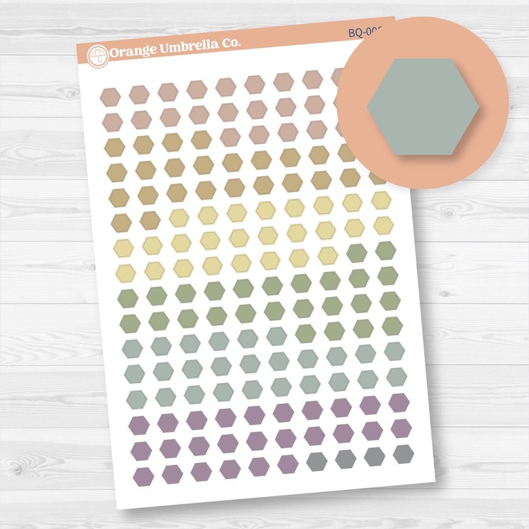 CLEARANCE | Hexagon - Tiny Planner Stickers | Erin Condren Bouquet | BQ ...