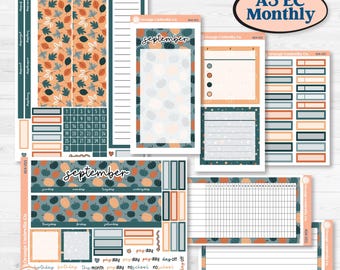 Bold Pumpkin Planner Kit | A5 Erin Condren Monthly & Dashboard Sticker Kit | 2024-2025 Planners | Perfect Pumpkin | KIT-404-V