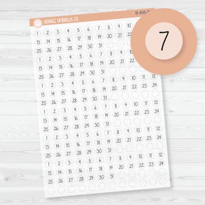 6 Months of Date Dot Covers Planner Stickers | FC12 Script Clear Matte Circle | B-495-BCM