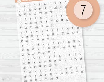 6 Months of Date Dot Covers Planner Stickers | FC12 Script Clear Matte Circle | B-495-BCM