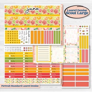 Bright Fruit Stickers | Laurel Denise Scout Large Planner Kit Stickers | Burst | KIT-528-W