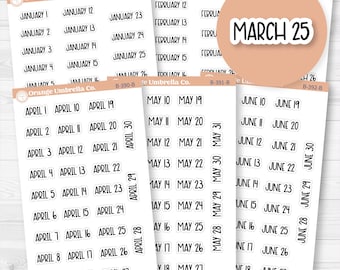 Dates of the Month Planner Stickers and Labels | F8 | B-387-392-B