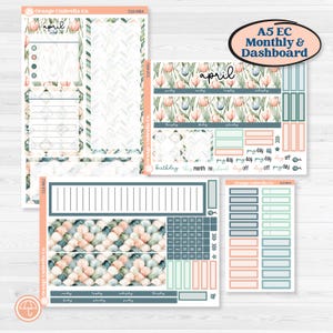 Può includere: Un set di adesivi per planner a tema floreale, con la parola "aprile" in corsivo. Gli adesivi includono varie forme e dimensioni, con una tavolozza di colori pesca, verde acqua e bianco. Il set è progettato per la pianificazione mensile e del cruscotto A5 EC.