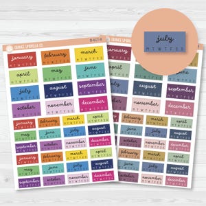 A5 Year at a Glance - Hobonichi Cousin Planner Stickers | F16 | B-617