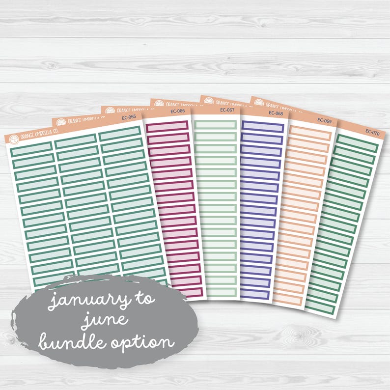 CLEARANCE | Skinny Label Planner Stickers | Erin Condren Evolve Palette ...