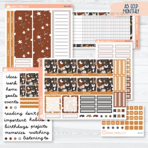CLEARANCE | Owl Planner Kit | A5 EC Monthly & Dashboard Planner Kit Stickers | Side Eye | 342-241