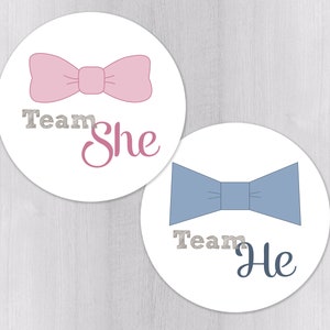 Gender Reveal Party Stickers, Team He Stickers, Team She Stickers, Choose Your Size (#173-WH)