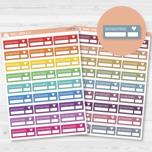 Appointment Quarter Box Script Planner Stickers | F3 | L-287