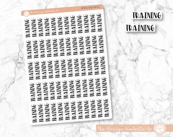 CLEARANCE | Training Script Planner Stickers |  F1  |  S-649-B |903-026-001-WH