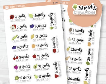 Pregnancy Weeks/Baby Is Size Of... Icon Script Planner Stickers | F7 | E-042-043 /