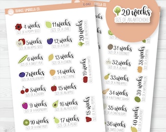 Pregnancy Weeks Labels | Baby Is Size Of... Icon Script Planner Stickers | F7 | E-042-043