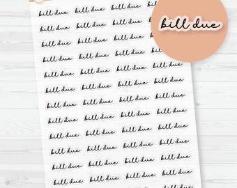 Bill Due Script Planner Stickers | F5 Clear Matte | S-505-BCM