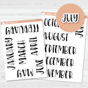Month Name Script Planner Stickers | F1 | B-318/319-B