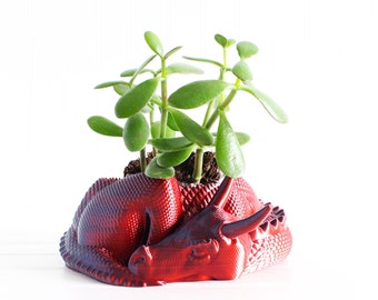 Dragon Planter, Indoor Flower Pot Planter, 3D Printed Dragon Plant Pot