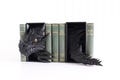 Dragon Book Nook, Dragon Tail Book Nook, Bookshelf Decor, 3D Print Bookend