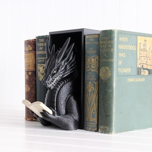 Dragon Book Nook, Dragon Reading, Bookshelf Decor, 3D Print