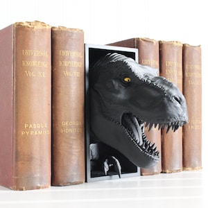 Dinosaur Book Nook, Dinosaur Head Bookshelf Decor, 3D Print