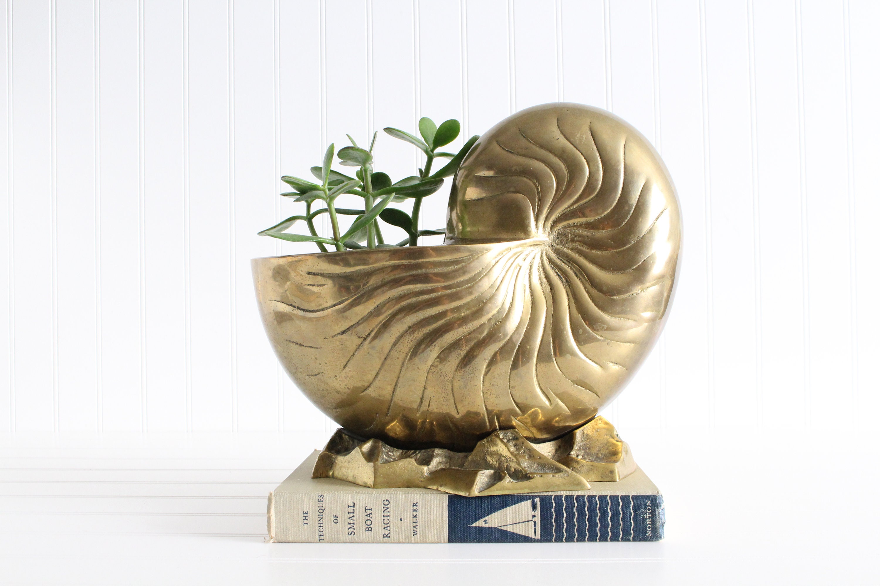VINTAGE Brass Nautilus Shell Planter Footed Beach Decor MCM 6.25” Tall 5”  Wide 