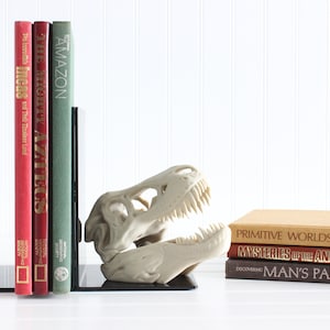 Dinosaur Bookend, T-Rex Skull, Tyrannosaurus Rex, Bookshelf Decor, Gifts for Science Teachers, Boy Bedroom