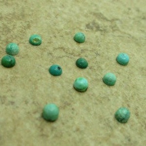 May include: Twelve turquoise cabochons, each with a smooth, rounded surface, are arranged in a scattered pattern on a light green background.