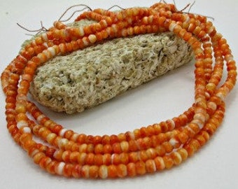 May include: A strand of small, round, orange and white beads. The beads are made of a natural material, possibly shell or bone. The beads are strung on a thin wire.