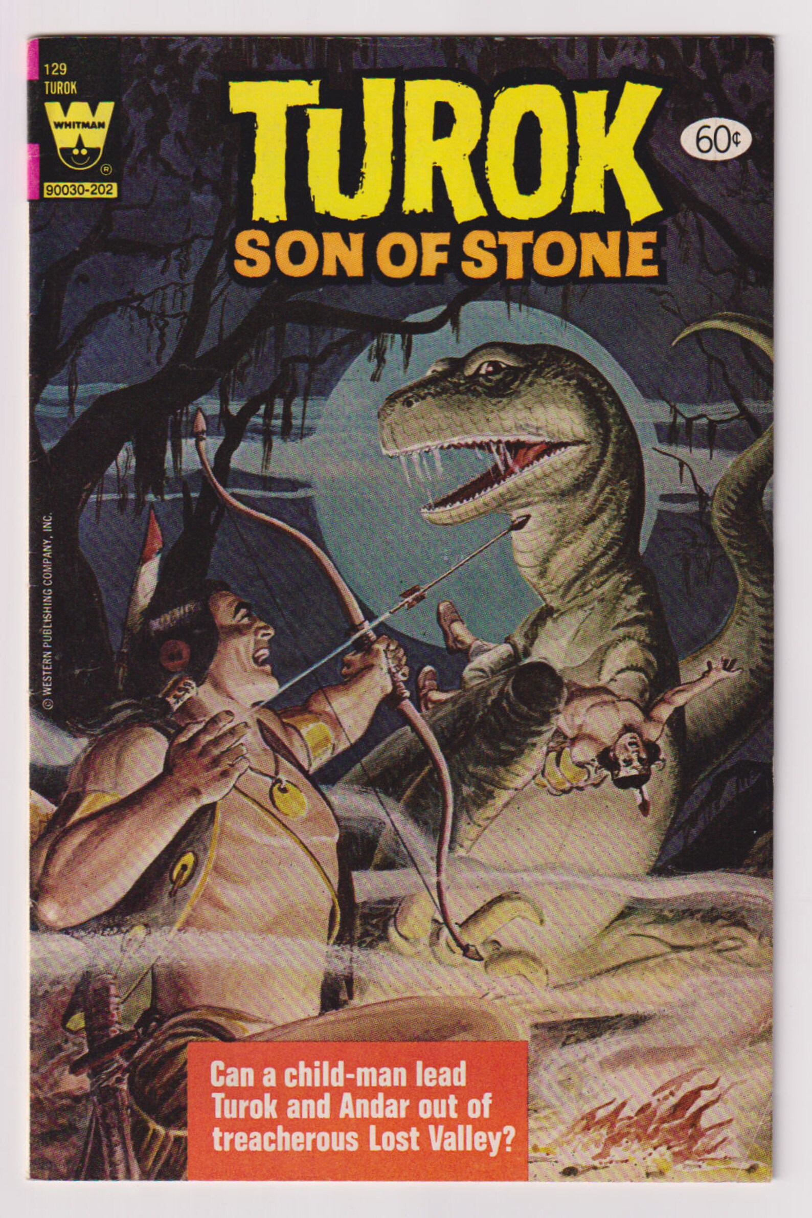 Turok son of Stone. DVD диски с мультфильмами турок сын камня.