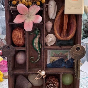 May include: A wooden shadow box filled with various objects, including a pink flower, seashells, a green seahorse figurine, a Rummikub tile with the number 2, and a vintage key. The box is a warm brown color, and the items are arranged in separate compartments.