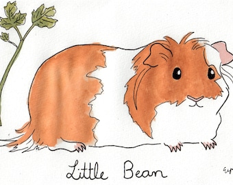 Portrait d'animal de compagnie personnalisé fait sur commande (cochon d'Inde)