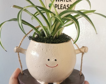 Live Variegated Spider Plant Extremely easy-care long vines houseplant